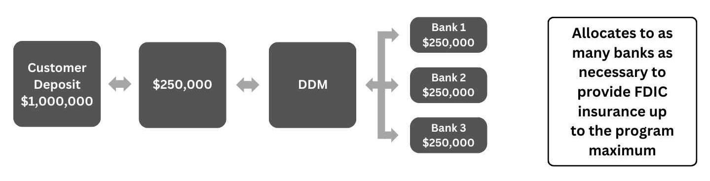 DDM Graphic